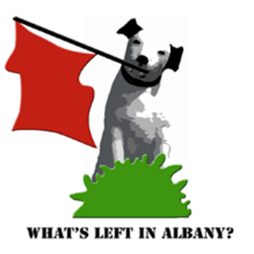 WLIA 27: More Questions than Answers about Nonprofits